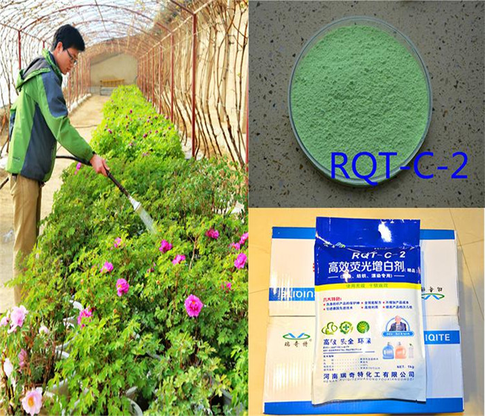 工程師用水溶增白劑灌溉牡丹