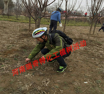 瑞奇特?cái)y同捷安特綠色出行植樹造林活動(dòng)